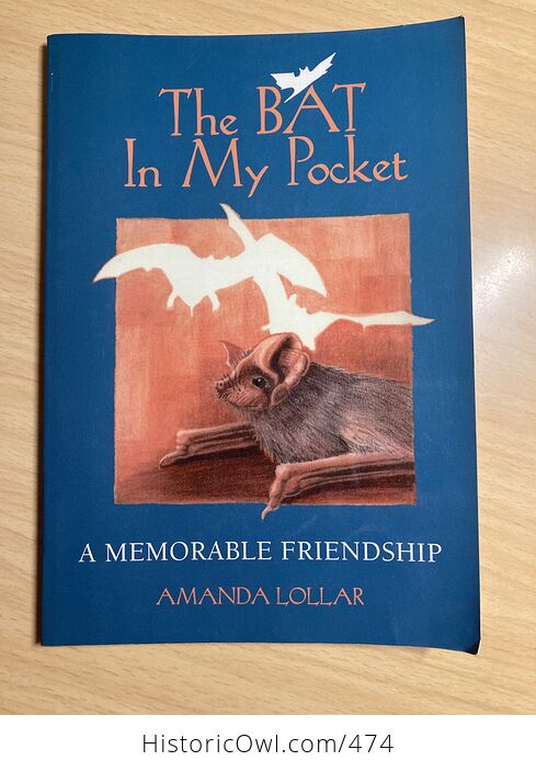 The Bat in My Pocket a Memorable Friendship by Amanda Lollar C1992 - #ZlQF81hsrFg-1