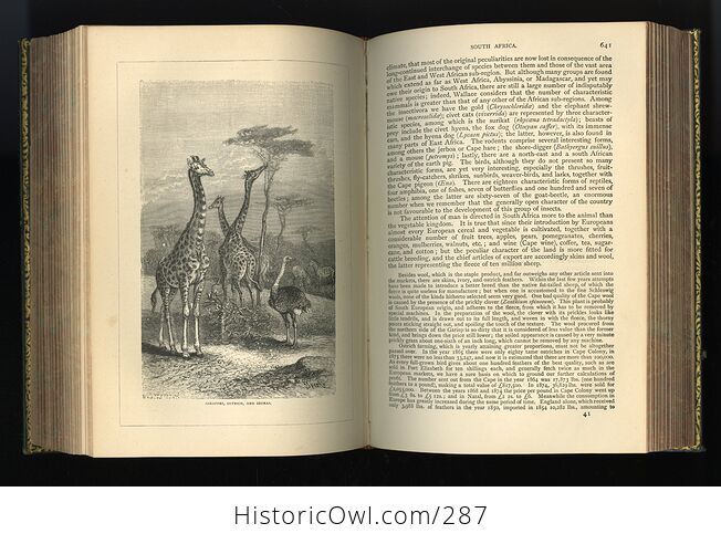The Creators Wonders in Living Nature or Marvels of Life in the Animal and Vegetable Kingdoms Antique Book by J Minshull - #XWeThfQRFWg-12