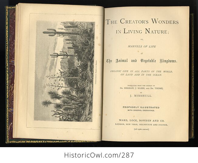 The Creators Wonders in Living Nature or Marvels of Life in the Animal and Vegetable Kingdoms Antique Book by J Minshull - #XWeThfQRFWg-5