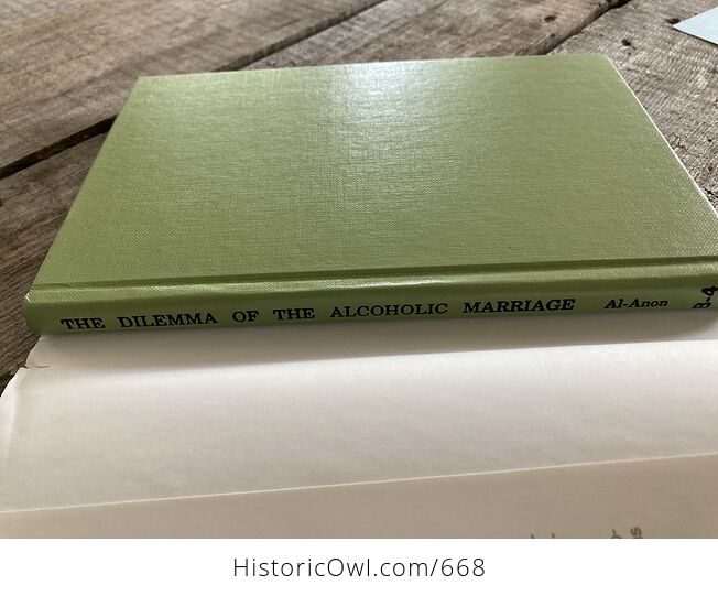 The Dilemma of the Alcoholic Marriage Al Anon Family Groups Book C1992 - #60wH1ZumzuY-8