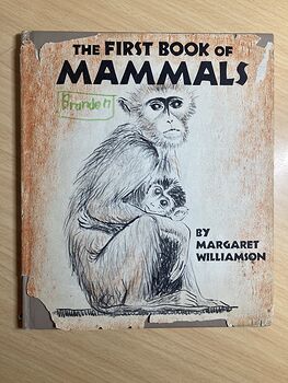 The First Book of Mammals by Margaret Williamson C1957 #OkJdZKi0uBc