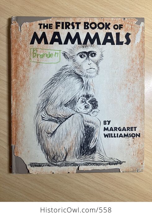 The First Book of Mammals by Margaret Williamson C1957 - #OkJdZKi0uBc-1