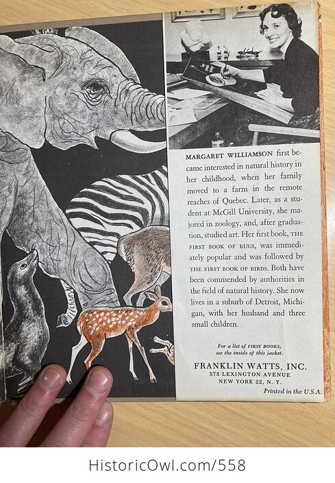 The First Book of Mammals by Margaret Williamson C1957 - #OkJdZKi0uBc-4
