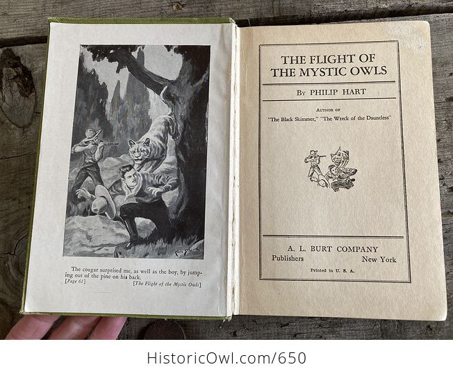 The Flight of the Mystic Owls Vintage Book by Philip Hart C1929 - #5upBIIMlrlc-6