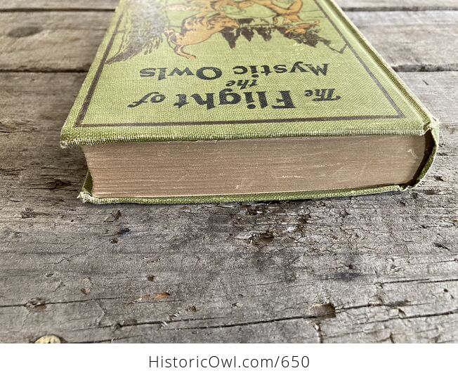 The Flight of the Mystic Owls Vintage Book by Philip Hart C1929 - #5upBIIMlrlc-5