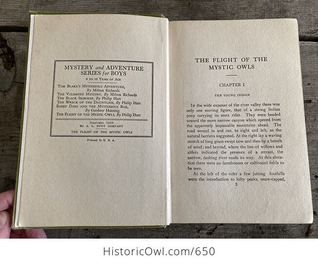 The Flight of the Mystic Owls Vintage Book by Philip Hart C1929 - #5upBIIMlrlc-8
