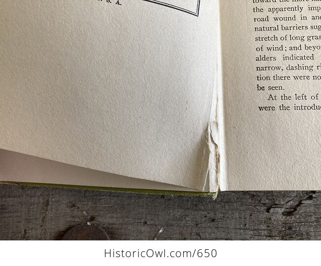 The Flight of the Mystic Owls Vintage Book by Philip Hart C1929 - #5upBIIMlrlc-7
