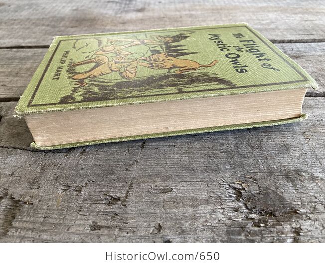 The Flight of the Mystic Owls Vintage Book by Philip Hart C1929 - #5upBIIMlrlc-4