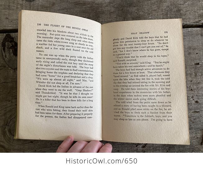 The Flight of the Mystic Owls Vintage Book by Philip Hart C1929 - #5upBIIMlrlc-10