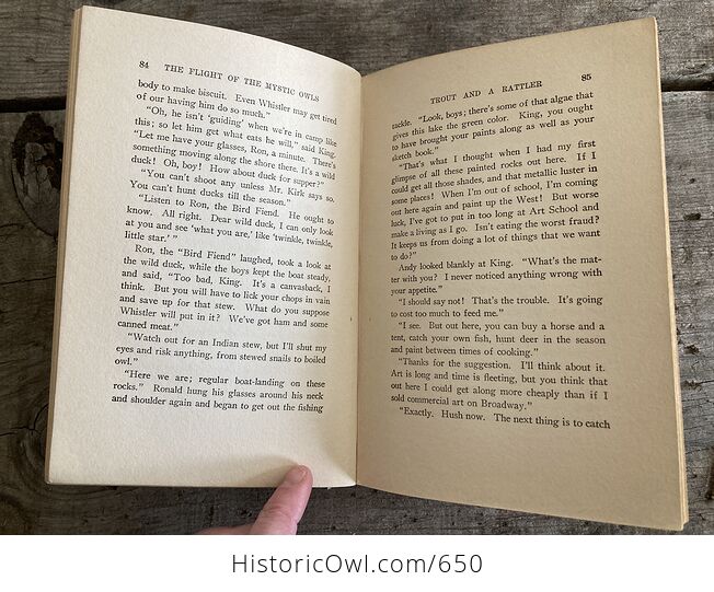 The Flight of the Mystic Owls Vintage Book by Philip Hart C1929 - #5upBIIMlrlc-9