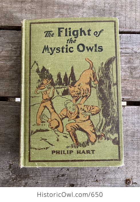 The Flight of the Mystic Owls Vintage Book by Philip Hart C1929 - #5upBIIMlrlc-1