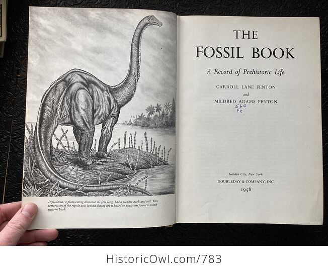 The Fossil Book a Record of Prehistoric Life by Carroll Lane Fenton and Mildred Adams Fenton C1958 - #UsCCcnkyRaI-1