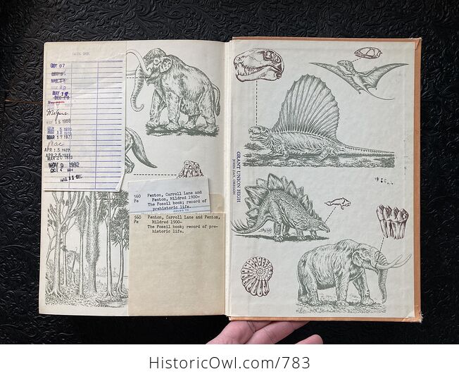 The Fossil Book a Record of Prehistoric Life by Carroll Lane Fenton and Mildred Adams Fenton C1958 - #UsCCcnkyRaI-19
