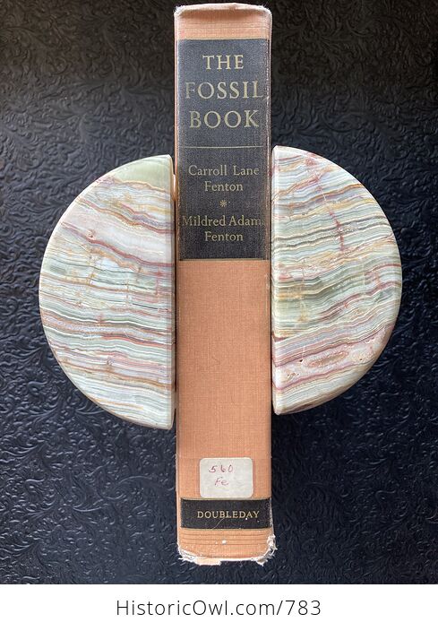 The Fossil Book a Record of Prehistoric Life by Carroll Lane Fenton and Mildred Adams Fenton C1958 - #UsCCcnkyRaI-3