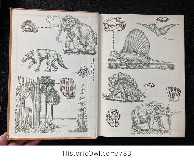 The Fossil Book a Record of Prehistoric Life by Carroll Lane Fenton and Mildred Adams Fenton C1958 - #UsCCcnkyRaI-5