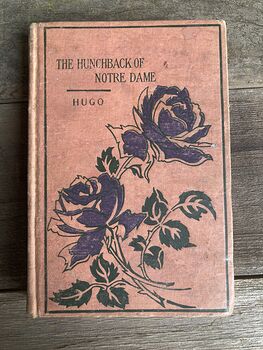 The Hunchback of Notre Dame Vintage Book by Victor Hugo the Federal Book Company Publishers C1902 1903 #bTUttjXPQHU