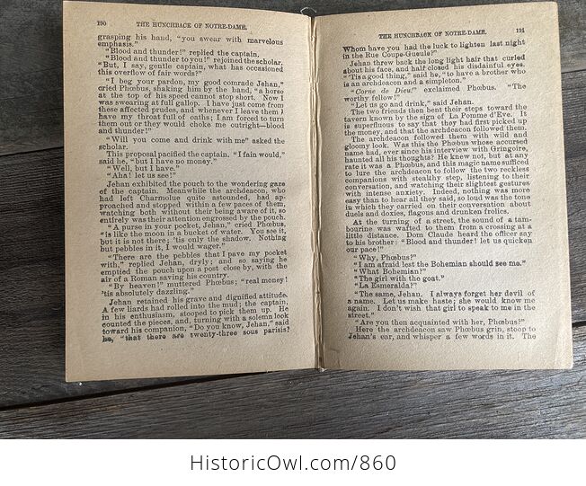 The Hunchback of Notre Dame Vintage Book by Victor Hugo the Federal Book Company Publishers C1902 1903 - #bTUttjXPQHU-8