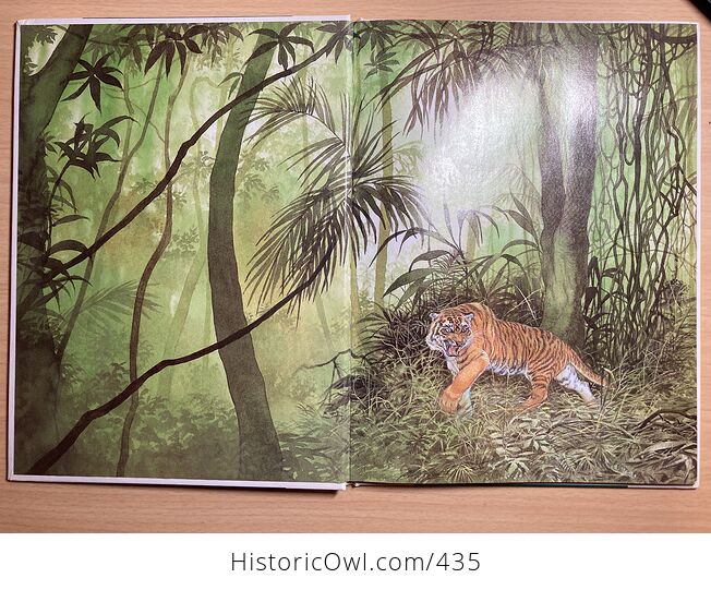 The Jungle Book by Rudyard Kipling Illustrations by Eric Kincaid C1992 - #sTDEKKwOhg4-3