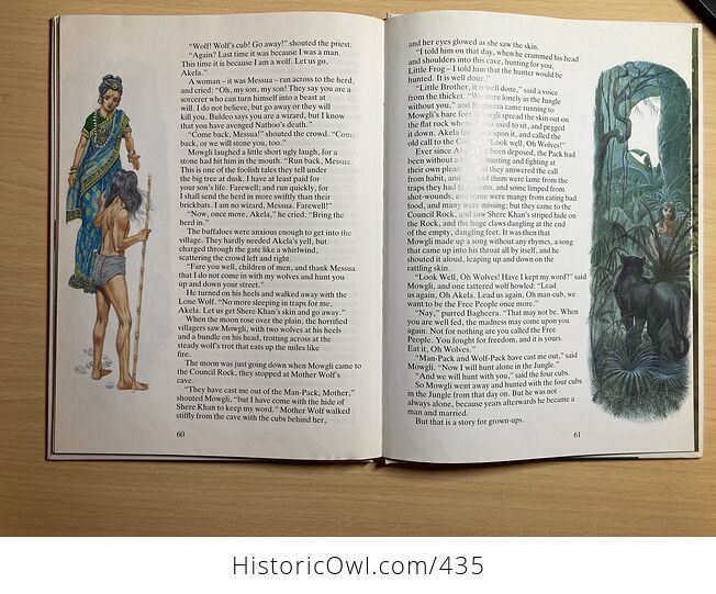 The Jungle Book by Rudyard Kipling Illustrations by Eric Kincaid C1992 - #sTDEKKwOhg4-6