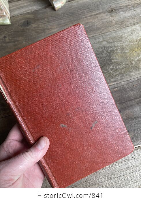 The Last Days of Pompeii Vintage Book by Sir Edwin Bulwer Lytton - #1aURsDbZJuE-3