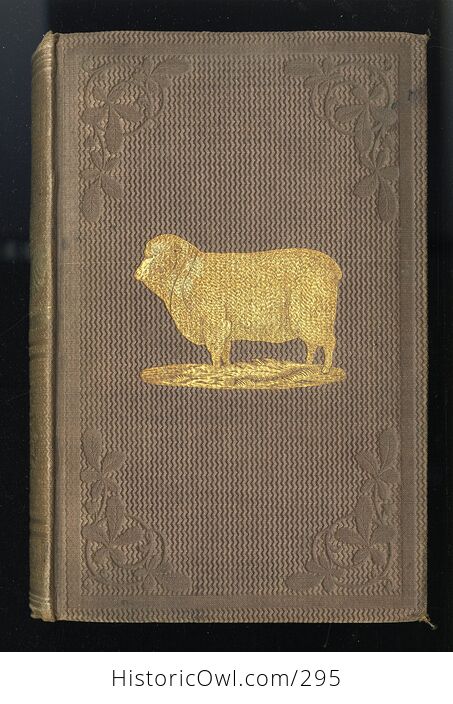 The Practical Shepherd a Complete Treatise on the Breeding Management and Diseases of Sheep Antique Illustrated Book by Henry S Randall Ll D C1863 - #8L5fynavtuE-2