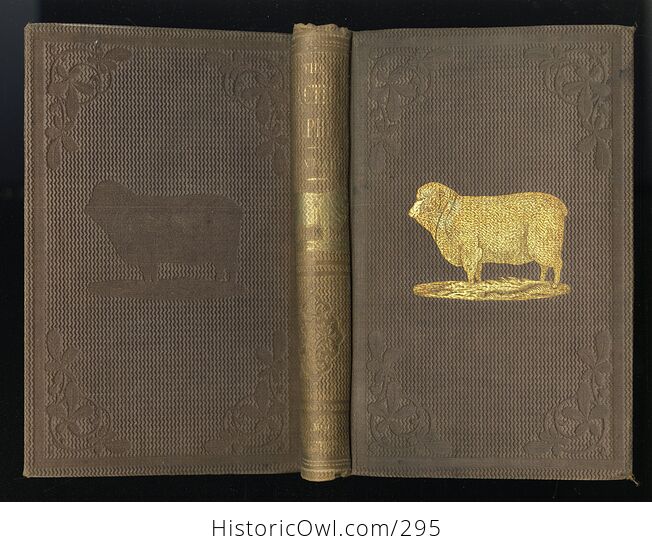 The Practical Shepherd a Complete Treatise on the Breeding Management and Diseases of Sheep Antique Illustrated Book by Henry S Randall Ll D C1863 - #8L5fynavtuE-3