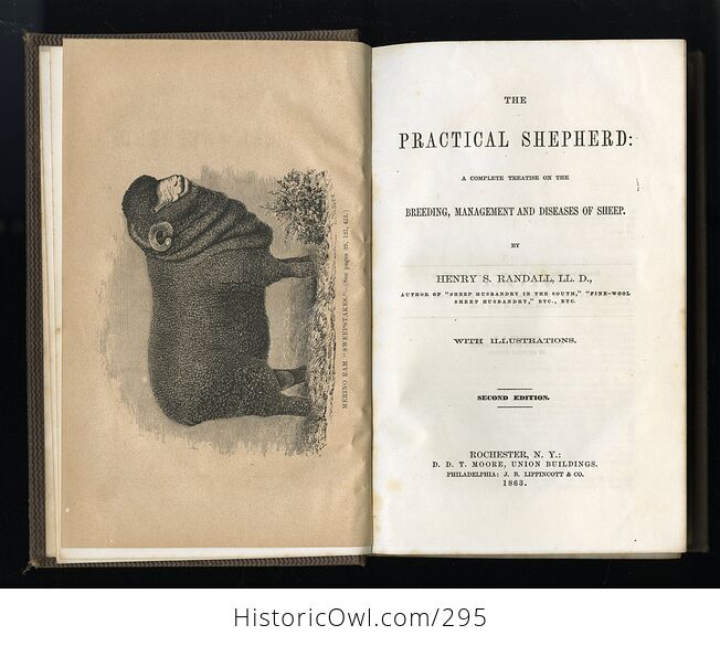 The Practical Shepherd a Complete Treatise on the Breeding Management and Diseases of Sheep Antique Illustrated Book by Henry S Randall Ll D C1863 - #8L5fynavtuE-5