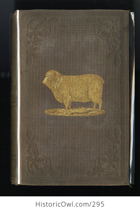 The Practical Shepherd a Complete Treatise on the Breeding Management and Diseases of Sheep Antique Illustrated Book by Henry S Randall Ll D C1863 - #8L5fynavtuE-1