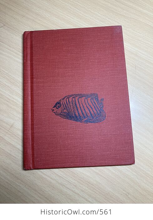 The Red Sea Vintage Book by Francine Jacobs C1978 - #erQyPr0BE2o-1