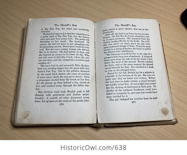 The Sheriffs Son Antique Western Book by William Macleod Raine C1918 - #DUjbOWy7UyY-12