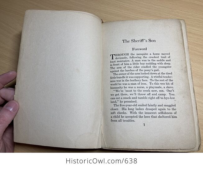 The Sheriffs Son Antique Western Book by William Macleod Raine C1918 - #DUjbOWy7UyY-9