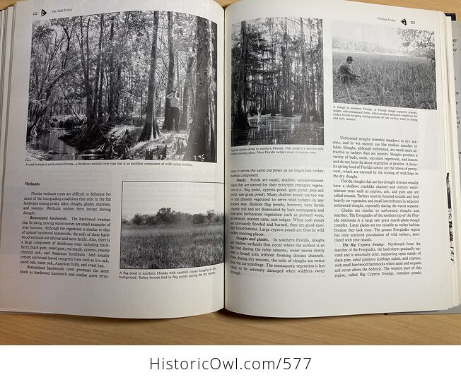 The Wild Turkey Biology and Management Book by James G Dickson C1992 - #ao5dnftJdQU-9