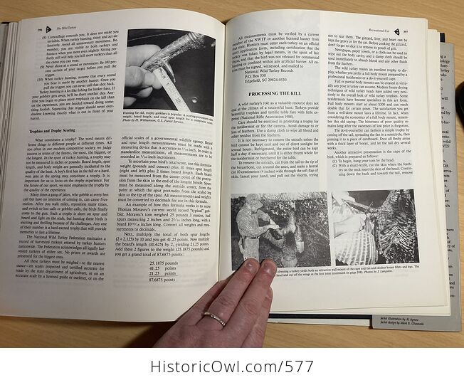 The Wild Turkey Biology and Management Book by James G Dickson C1992 - #ao5dnftJdQU-10