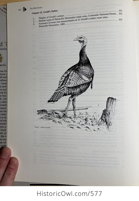 The Wild Turkey Biology and Management Book by James G Dickson C1992 - #ao5dnftJdQU-7