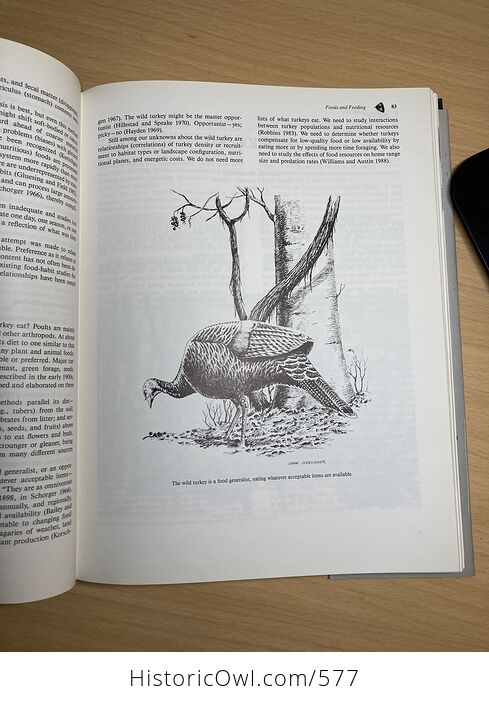 The Wild Turkey Biology and Management Book by James G Dickson C1992 - #ao5dnftJdQU-8