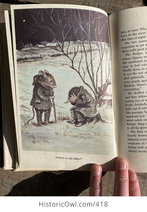 The Wind in the Willows Vintage Book by Kenneth Grahame Illustrated by Tasha Tudor C1966 - #bmYfD6jOU5Q-6