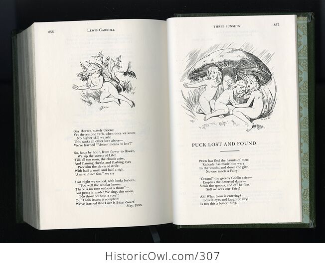 The Works of Lewis Carroll Longmeadow Press C1982 - #6W97VIn1ETU-10