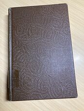 The Wrong Twin Antique Book by Harry Leon Wilson C1921 #99T2rSJnNt8
