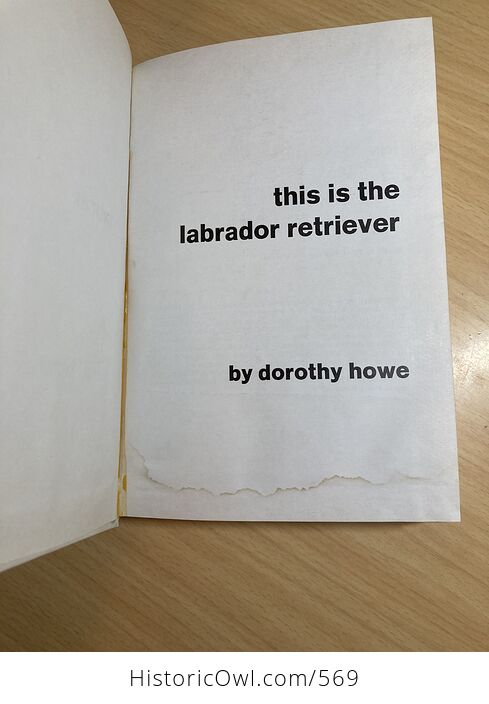 This Is the Labrador Retriever Book by Dorothy Howe C1972 - #wei0TjIMYZ4-3