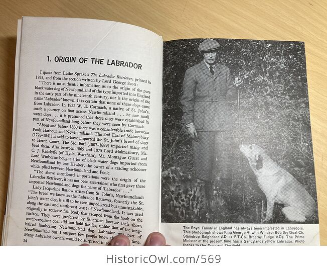 This Is the Labrador Retriever Book by Dorothy Howe C1972 - #wei0TjIMYZ4-8