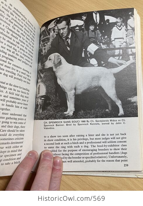 This Is the Labrador Retriever Book by Dorothy Howe C1972 - #wei0TjIMYZ4-9