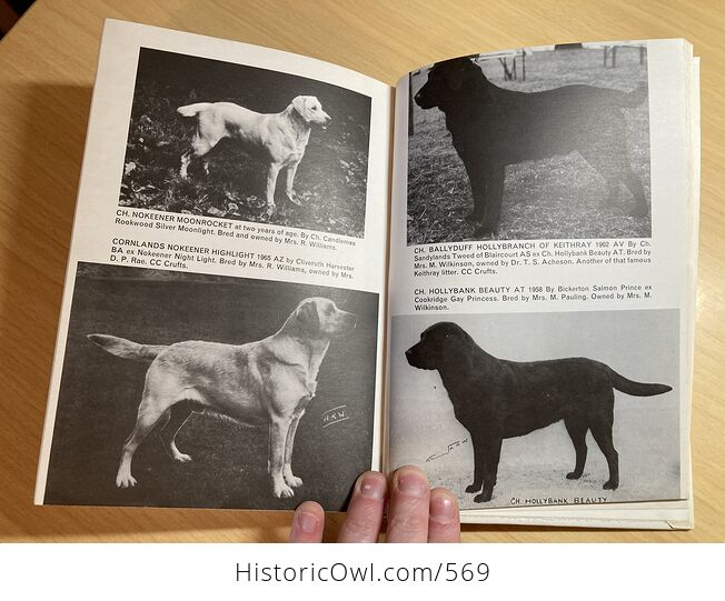 This Is the Labrador Retriever Book by Dorothy Howe C1972 - #wei0TjIMYZ4-10
