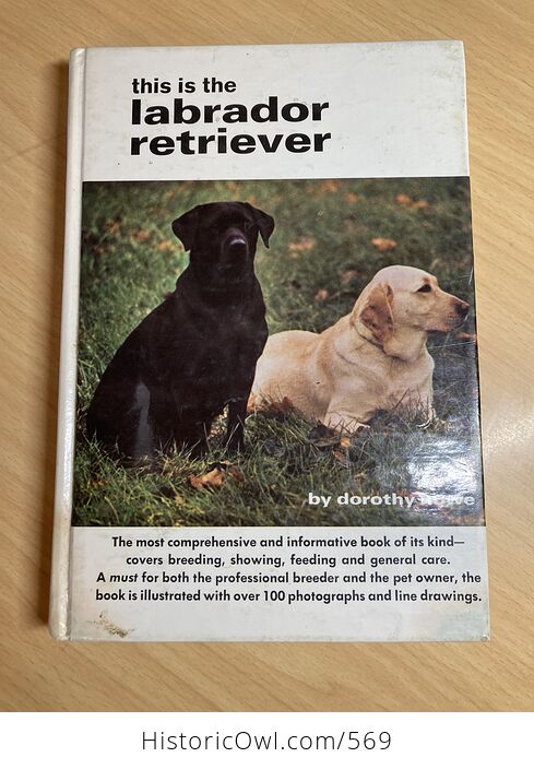 This Is the Labrador Retriever Book by Dorothy Howe C1972 - #wei0TjIMYZ4-1