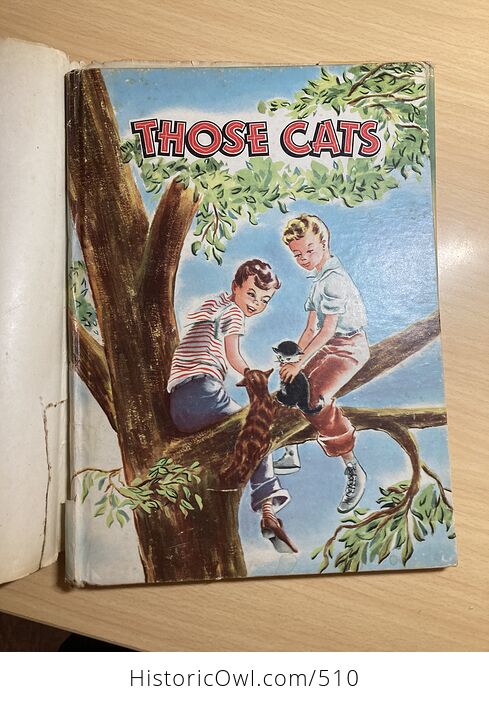 Those Cats Vintage Illustrated Childrens Book by Virginia Cunningham Illustrated by Veronica Reed C1947 - #6j9fiP1ziEU-3