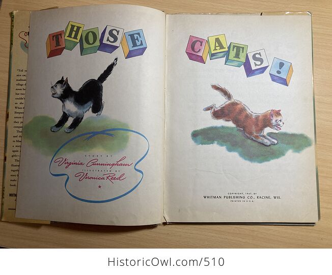 Those Cats Vintage Illustrated Childrens Book by Virginia Cunningham Illustrated by Veronica Reed C1947 - #6j9fiP1ziEU-7