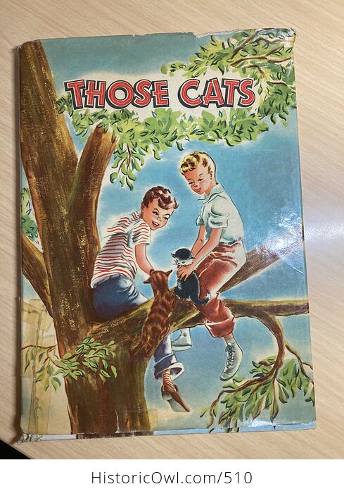 Those Cats Vintage Illustrated Childrens Book by Virginia Cunningham Illustrated by Veronica Reed C1947 - #6j9fiP1ziEU-1