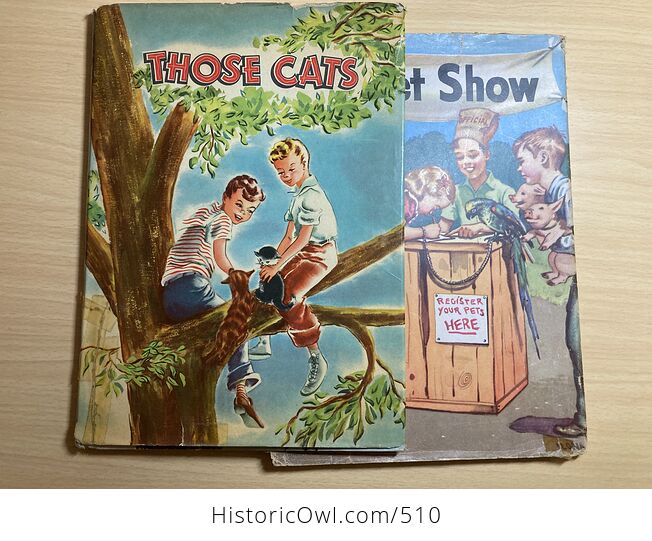 Those Cats Vintage Illustrated Childrens Book by Virginia Cunningham Illustrated by Veronica Reed C1947 - #6j9fiP1ziEU-16