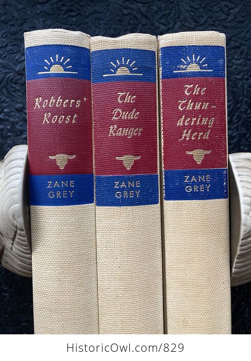 Three Matching Book Set Zane Grey Books Robbers Roost the Thundering Herd and the Dude Ranger - #6UGyZrh3i9I-2