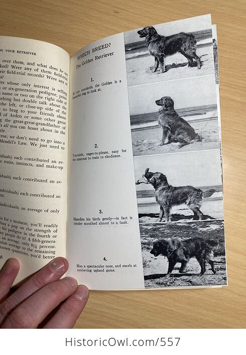 Training Your Retriever Book by James Lamb Free C1963 - #C9aX55BceYY-8