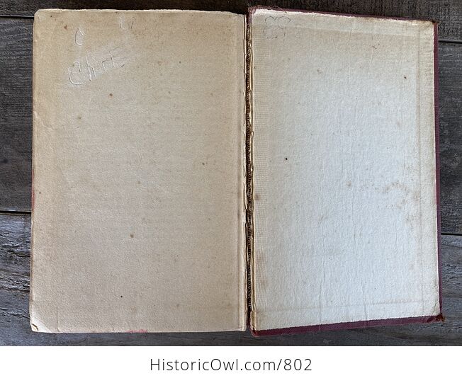 Treasure Island Antique Book by Robert Louis Stevenson - #Tqmn67oD6ho-8